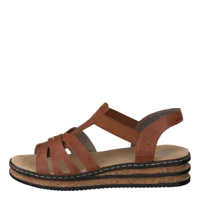62918 Brown