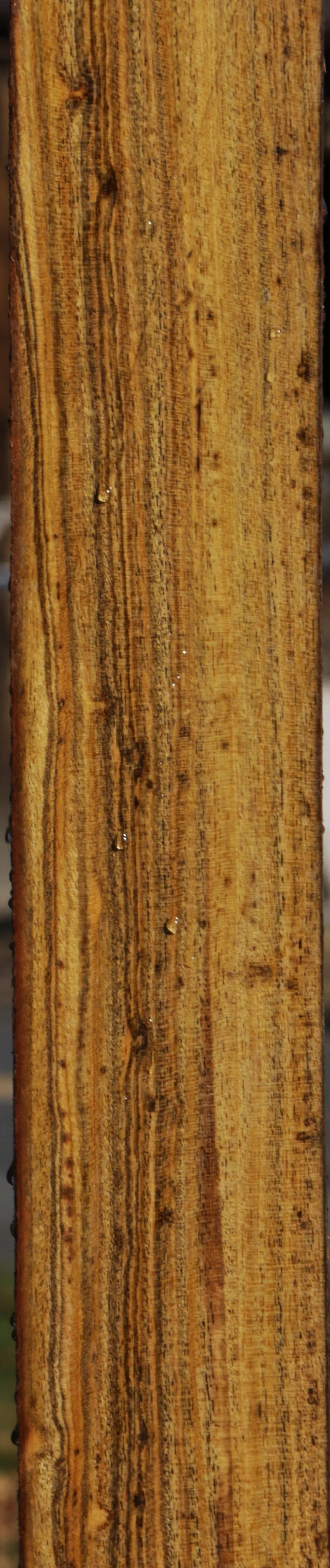 Bocote Lumber