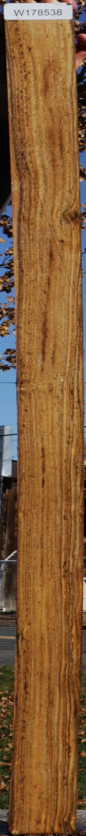 Bocote Lumber