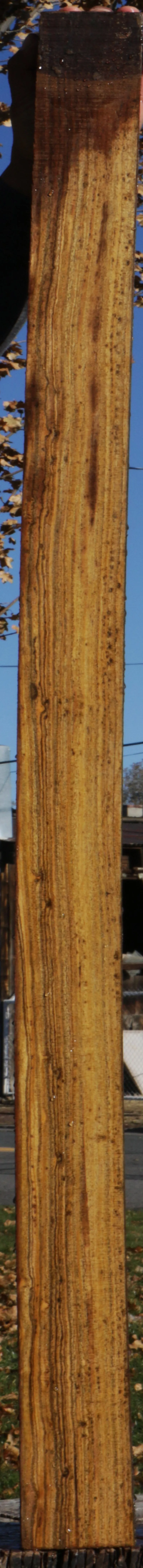 Bocote Lumber