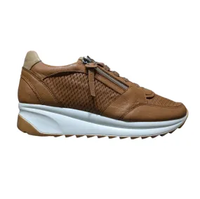 Carmela Women’s Perforated Leather Sneakers – Style 16070901 Size UK 6.5 / EU 40 / US 9