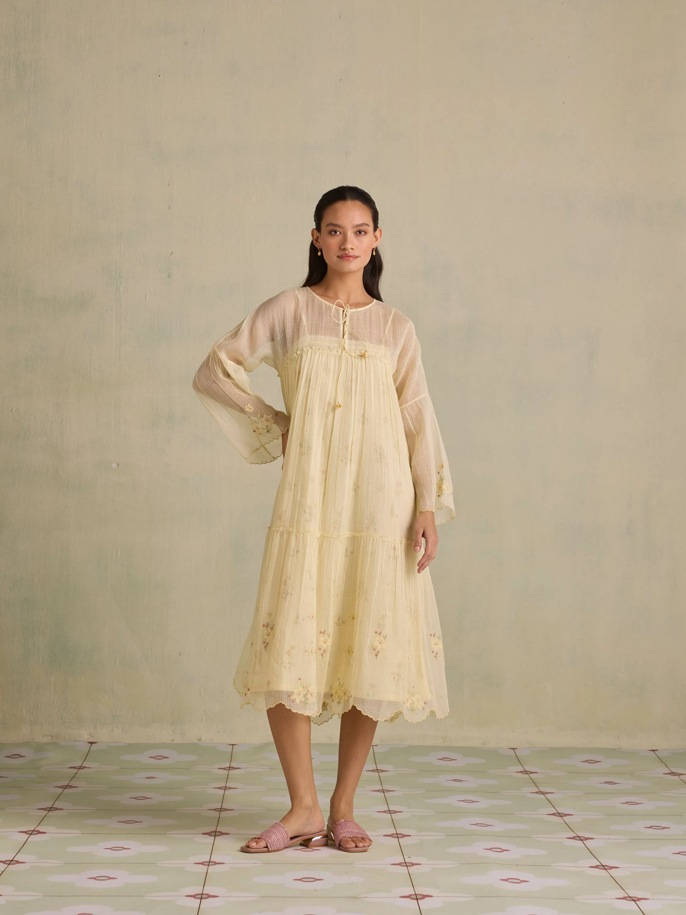 Sundance Sheer Dress